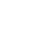 NS -1